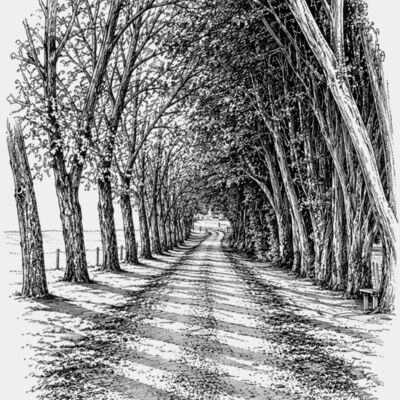 Driveway Black Thumbnail