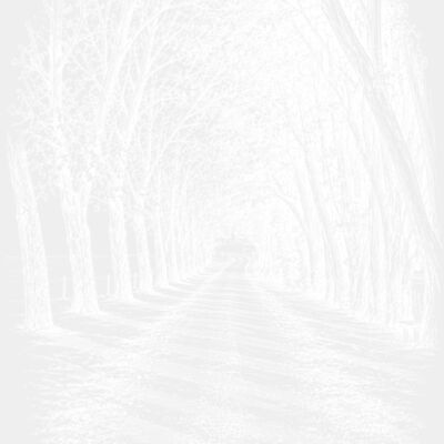 Driveway White Thumbnail